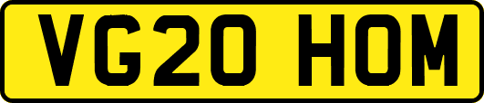 VG20HOM