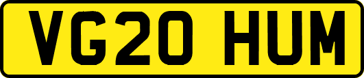 VG20HUM