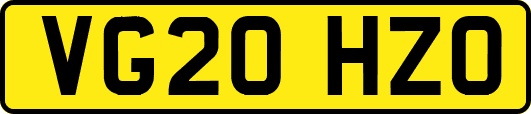 VG20HZO
