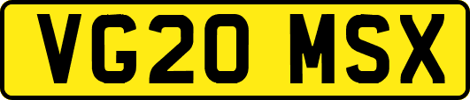 VG20MSX