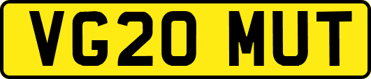 VG20MUT