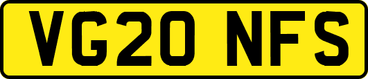 VG20NFS