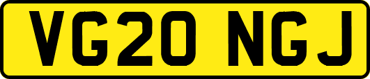 VG20NGJ