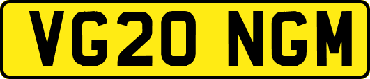 VG20NGM
