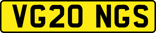 VG20NGS