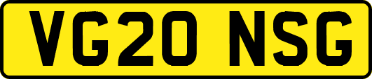 VG20NSG