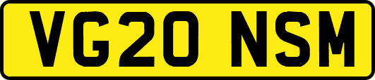 VG20NSM