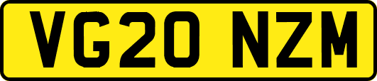VG20NZM