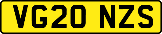 VG20NZS