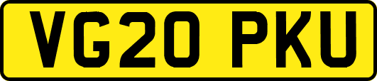 VG20PKU