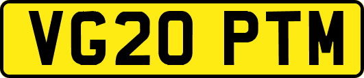 VG20PTM
