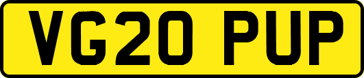 VG20PUP
