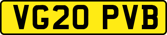 VG20PVB