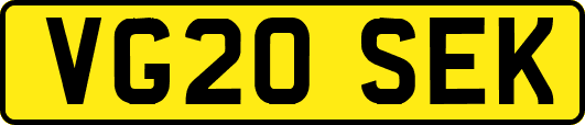 VG20SEK