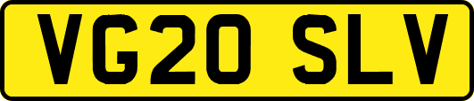 VG20SLV