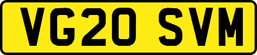 VG20SVM