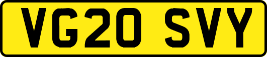 VG20SVY