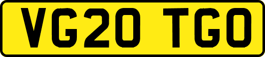 VG20TGO