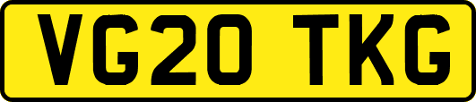 VG20TKG