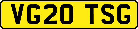 VG20TSG