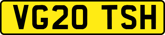 VG20TSH