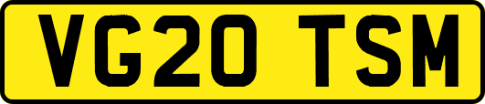 VG20TSM