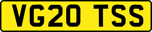 VG20TSS