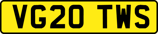 VG20TWS