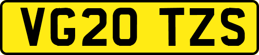 VG20TZS