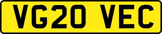 VG20VEC