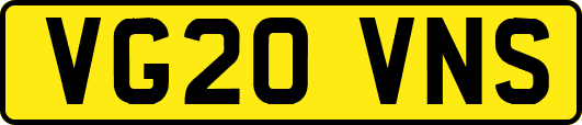 VG20VNS
