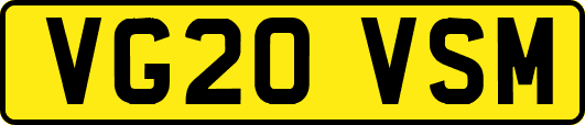 VG20VSM