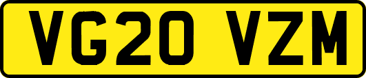 VG20VZM