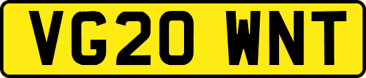 VG20WNT