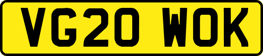 VG20WOK