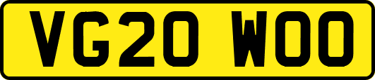 VG20WOO