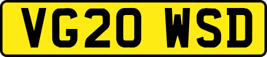 VG20WSD