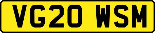 VG20WSM