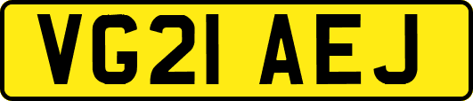 VG21AEJ