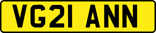VG21ANN