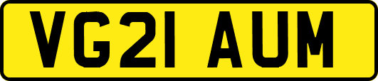 VG21AUM