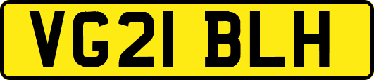 VG21BLH