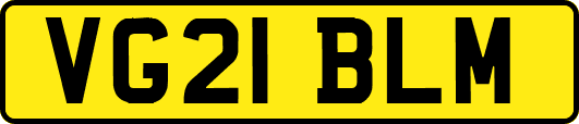 VG21BLM