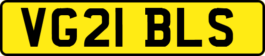 VG21BLS