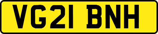 VG21BNH