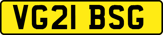 VG21BSG