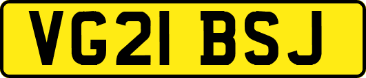 VG21BSJ