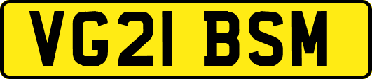 VG21BSM