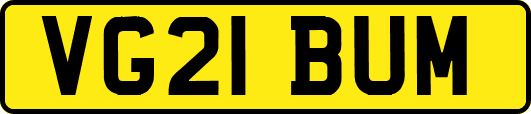 VG21BUM