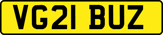 VG21BUZ